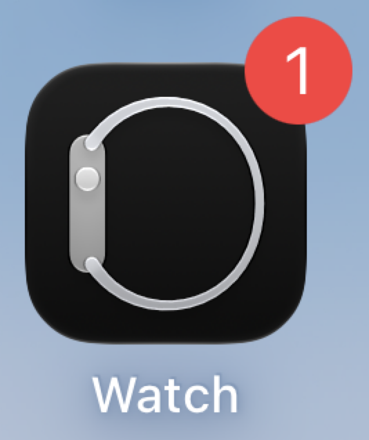 스크린샷: Sundial이 Apple Watch에 자동으로 설치되지 않을 수 있습니다. 이를 확인하고 필요하면 수동으로 설치하려면 iPhone에서 Watch 앱을 여세요:
